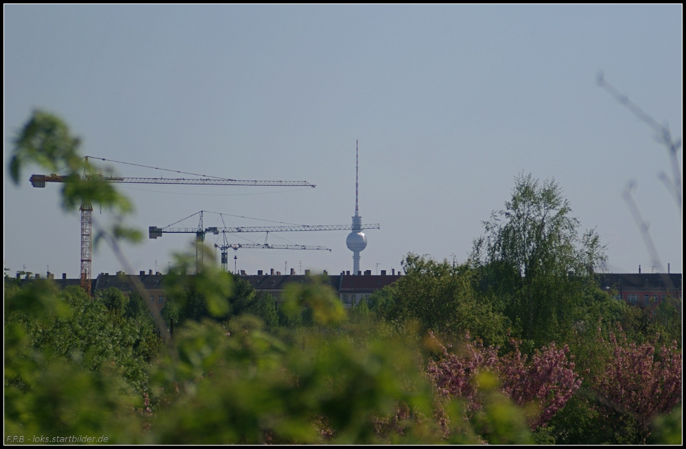 Der Fernsehturm am Alexanderplatz ist bei guter Sicht im Norden Berlins zu sehen und Baukrne stehen Spalier