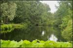 Entlang des Tiergartengewässer finden sich immer wieder schöne und ruhige Stellen (Berlin-Tiergarten 29.06.2013)