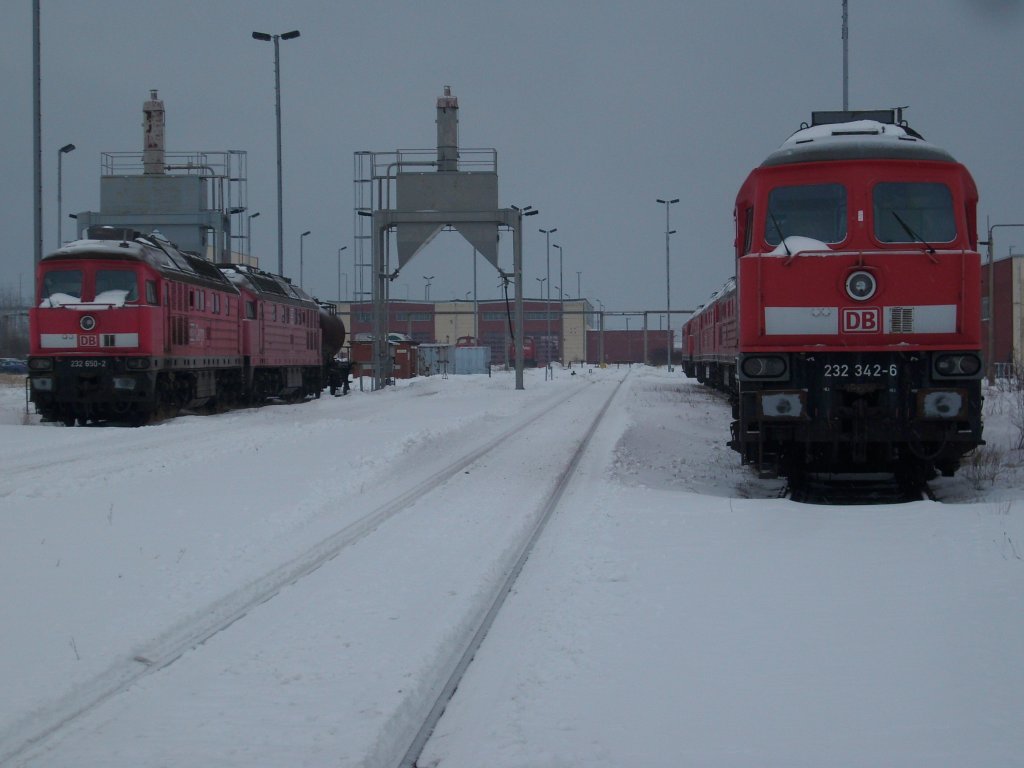 Am 09.Februar 2010 standen in Mukran mehrere 232er die auf ihre letzte Fahrt nach Espenhain,zur Verschrottung,warteten.