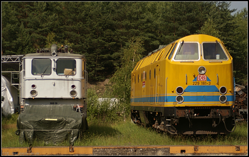 An der Schiebebühne vor den Werkshallen steht WAB 56 und die 229 181-3 von DB Netz (gesehen Tag der offenen Tür NETINERA Bahnwerk Neustrelitz 17.06.2011)