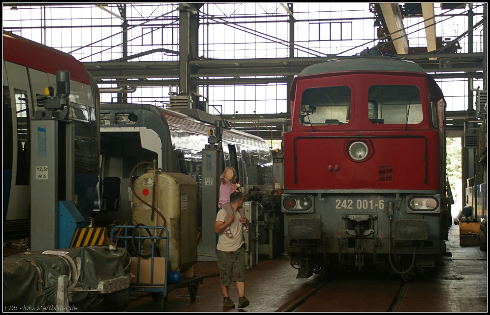 Auch die Großdiesel aus sowjetischer Fertigung werden im ehemaligen Arriva-Werk gewartet. Hier EKO 42 / 242 001-6 vom EKO-Werk Eisenhüttenstadt (gesehen Tag der offenen Tür NETINERA Bahnwerk Neustrelitz 17.06.2011)