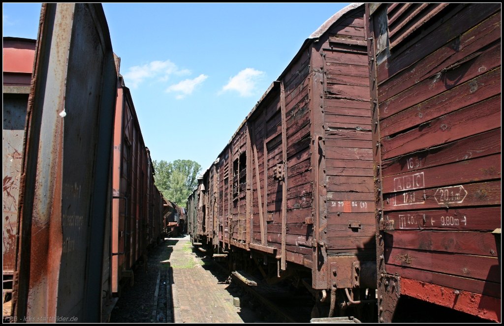 Blick entlang etlicher ausrangierter und verwitterter Gterwagen auf dem Vereinsgelnde (Dampflokfest im Traditionsbahnbetriebswerk Stafurt, gesehen Stafurt-Leopoldshall 05.06.2010)