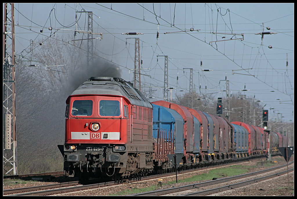 DB 233 625-3 mit gemischtem Gterzug lsst es krftig ruen (Teleaufnahme, gesehen Nuthetal-Saarmund 07.04.2010)
<br><br>
Update: In Halle G abgestellt; 12/2012 in Mukran abgestellt