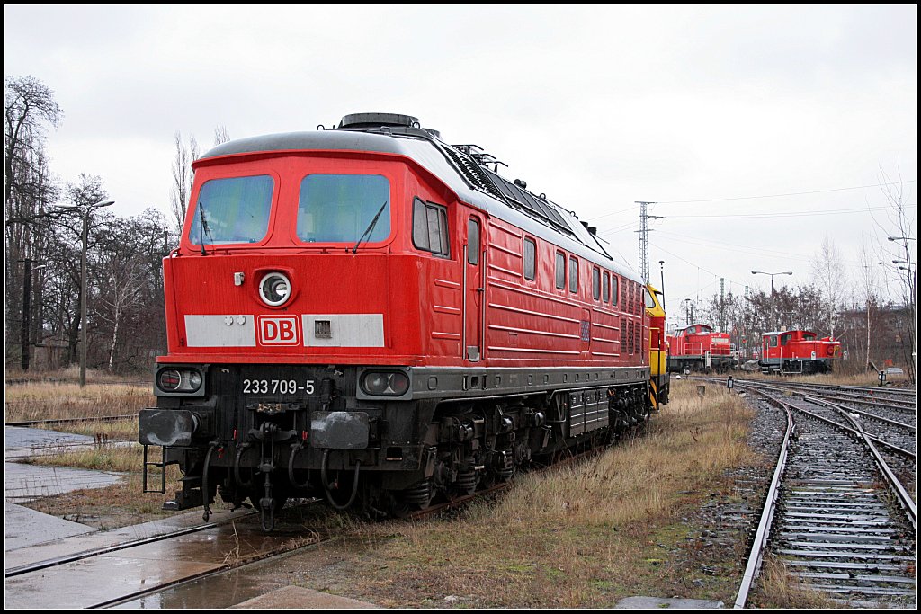 DB Schenker 233 709-5 steht auf einem Zufahrtsgleis zum Aw (ex 232 709-6, Verl. BSE 21.01.2010, gesehen Cottbus 28.12.2009)