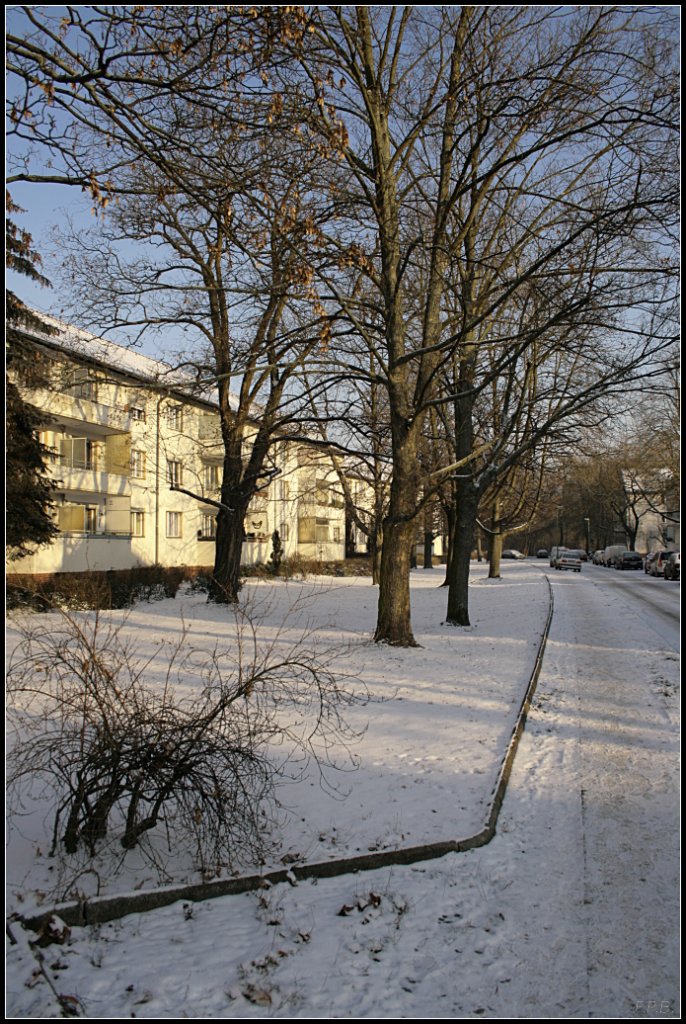 Ein bischen Schnee (Berlin Reinickendorf 12/2009)