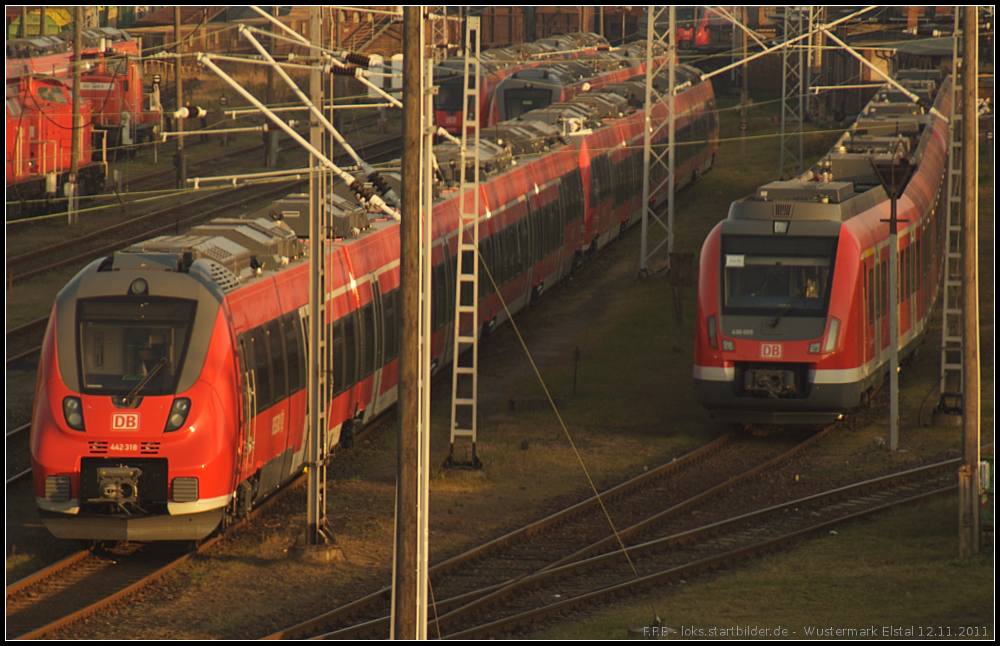 Eintrchtig stehen die neuen Nahverkehrszge der DB im Rbf Wustermark nebeneinander. Whrend 442 318 auf die endgltige Zulassung wartet, wird 430 005 Ende 2012 in Stuttgart oder im Rhein-Ruhr-Netz zum Einsatz kommen (gesehen am 12.11.2011)