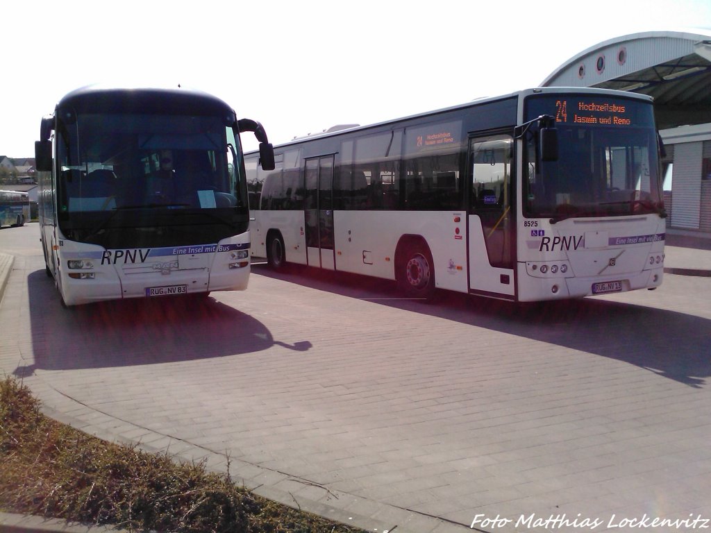 MAN & Volvo des RPNV aufm Busbahnhof in Bergen am 6.5.13