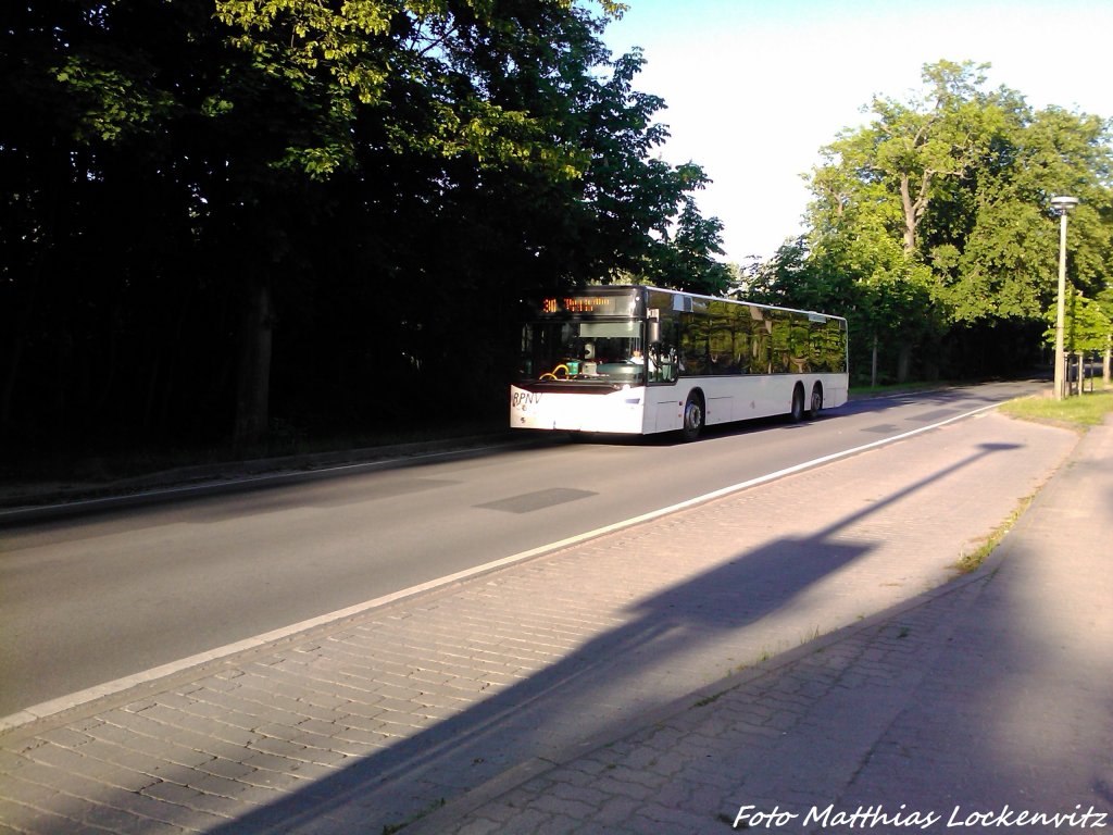 Neoplan als Linie 30  Theaterbus  mit Ziel Putbus, Theater bei der Vorbeifahrt an der Haltestelle Putbus, Neue Schule am 3.6.13 