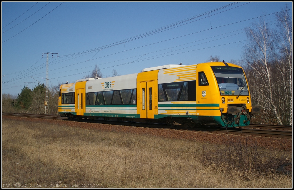 ODEG 650.77 / 650 077  Eberswalde  als OE36 nach Frankfurt (Oder) am 22.03.2012 in der Berliner Wuhlheide unterwegs