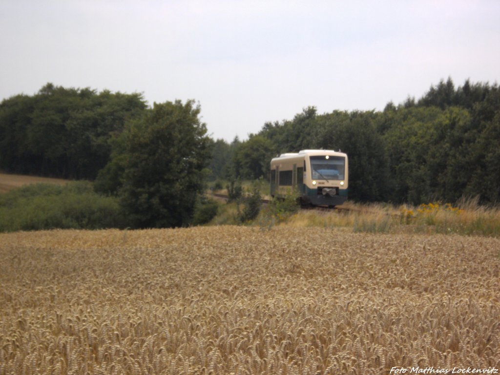 PRESS 650 032-4 unterwegs nach Putbus am Morgen des 6.8.13 