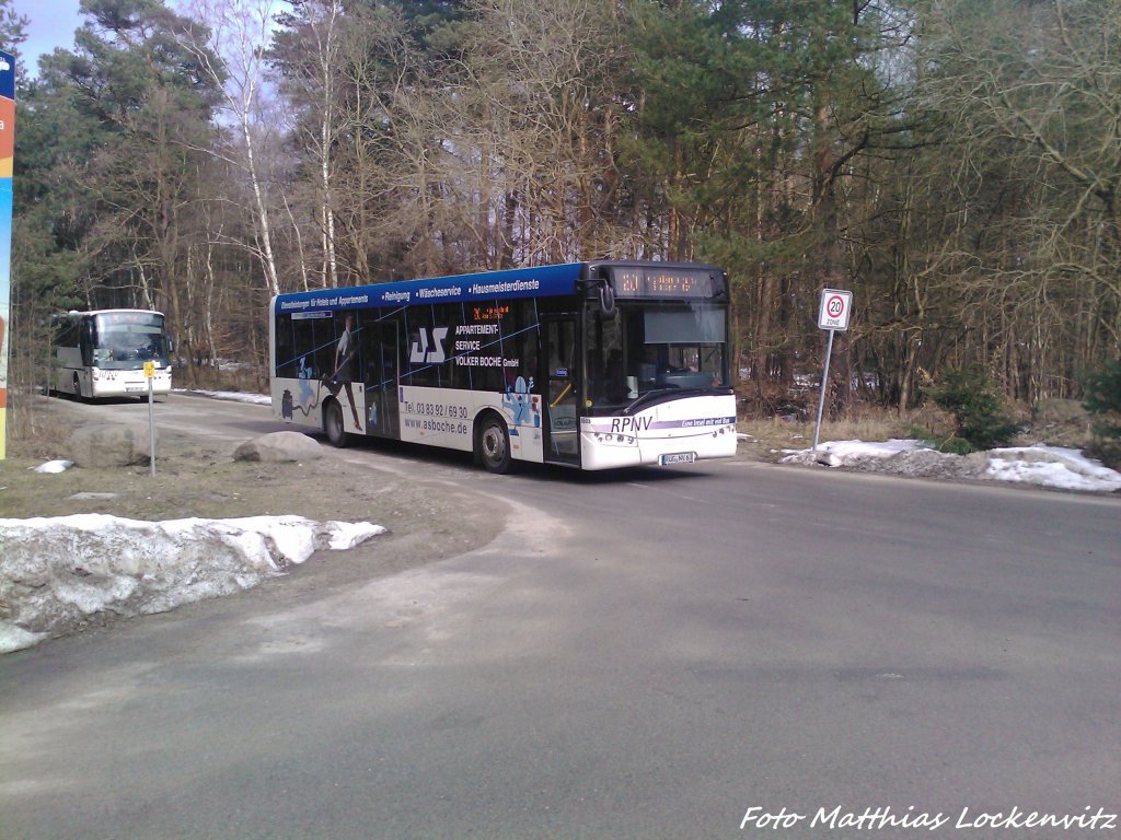 Solaris & Neoplan als Linie 20 mit Ziel Sassnitz bzw Ghren / Hier kurz hinter der Haltestelle Prora, Jugendherberge am 7.4.13