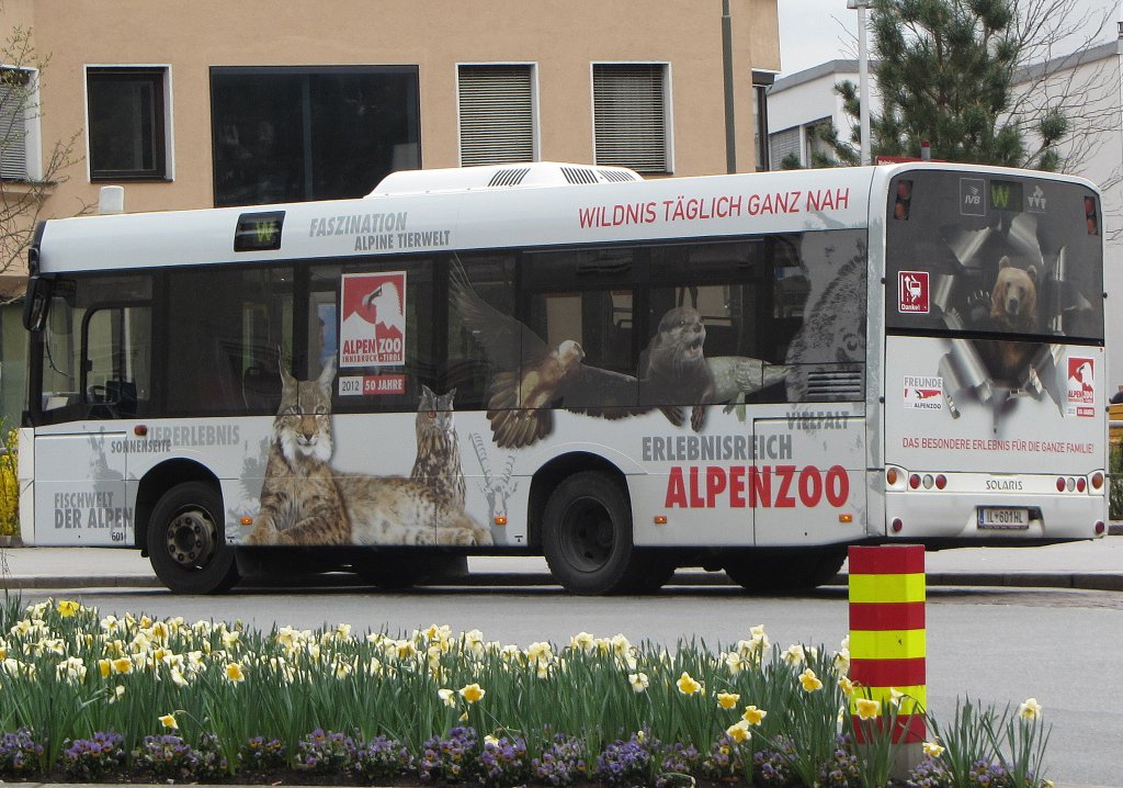 Solaris Alpino auf der Linie W nach Innsbruck Alpenzoo an der Haltestelle Terminal Marktplatz am 2.4.2013. 