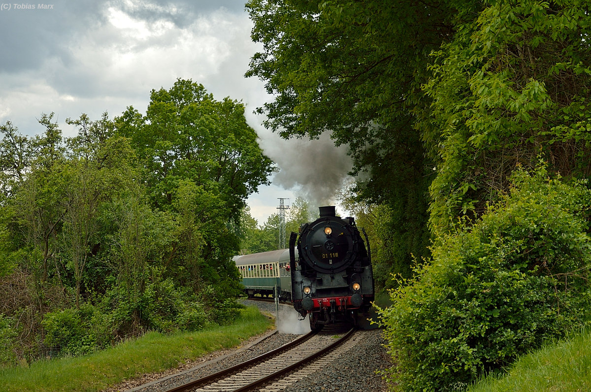 01 118 (HEF) am 15.05.2016 hinter Kelkheim auf dem Weg nach Königstein.