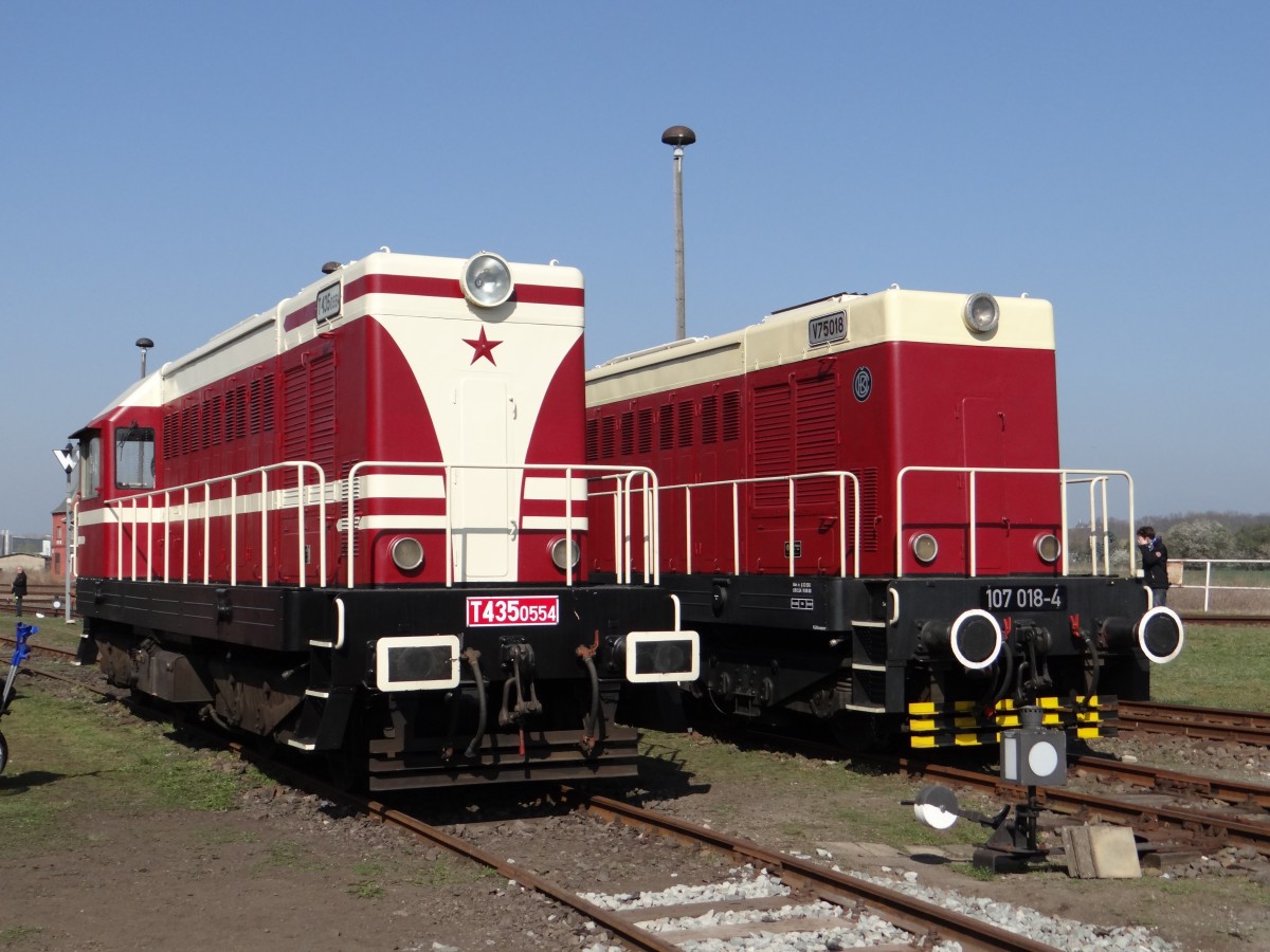 107 018 und T435 0554 zusehen beim Bw Fest in Sta�furt am 29.03.14.