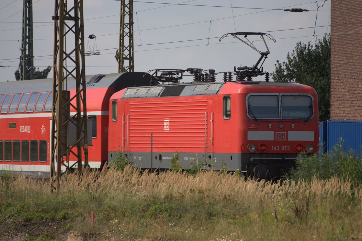 143 973  als Zuglok einens  Zuges  der Linie S1 bei der Ausfahrt  Coswig. 
15:26 Uhr  24.08.2013