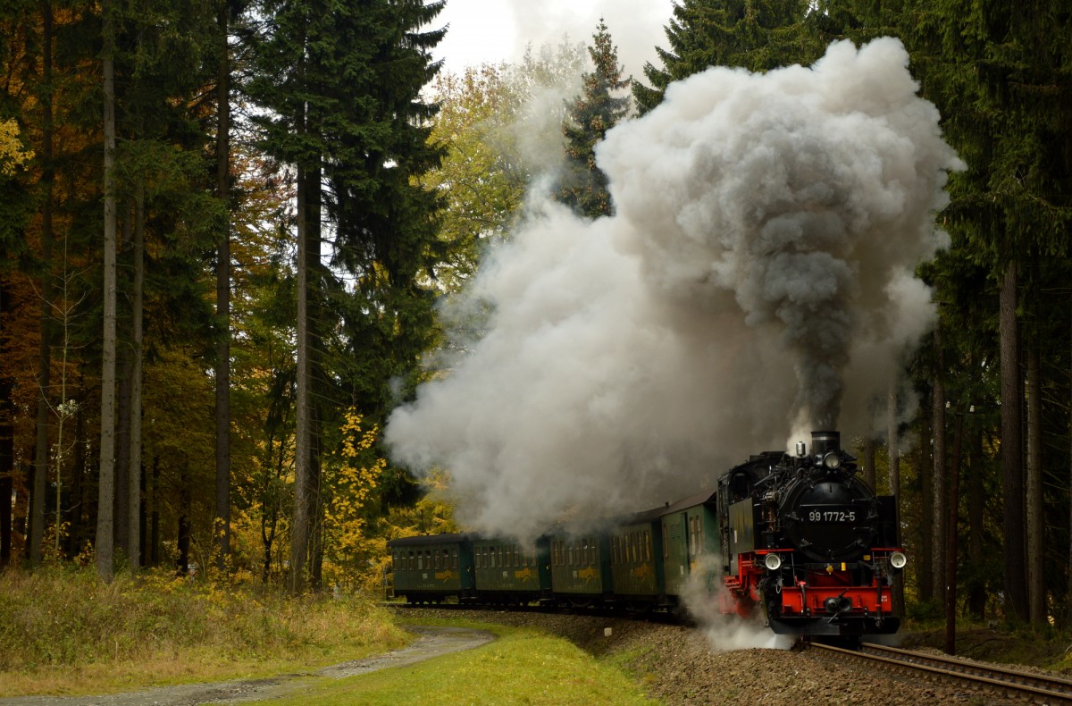 99 1772-5 mit P 1005 hinter der Vierenstraße am 26.10.2015. Die Dampfwolke verrät, dass nun die 2,0 Kilometer lange Steigung, in der 42 Höhenmeter überwunden werden, bis Kretscham-Rothensehma folgt.