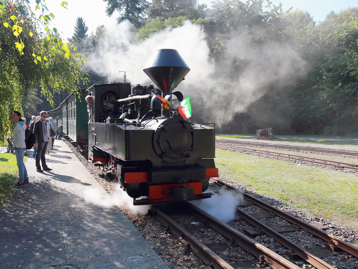 99 3317-7 rangiert in Kromlau am 03, Oktober 2015 zur Rückfahrt nach Weißwasser. 