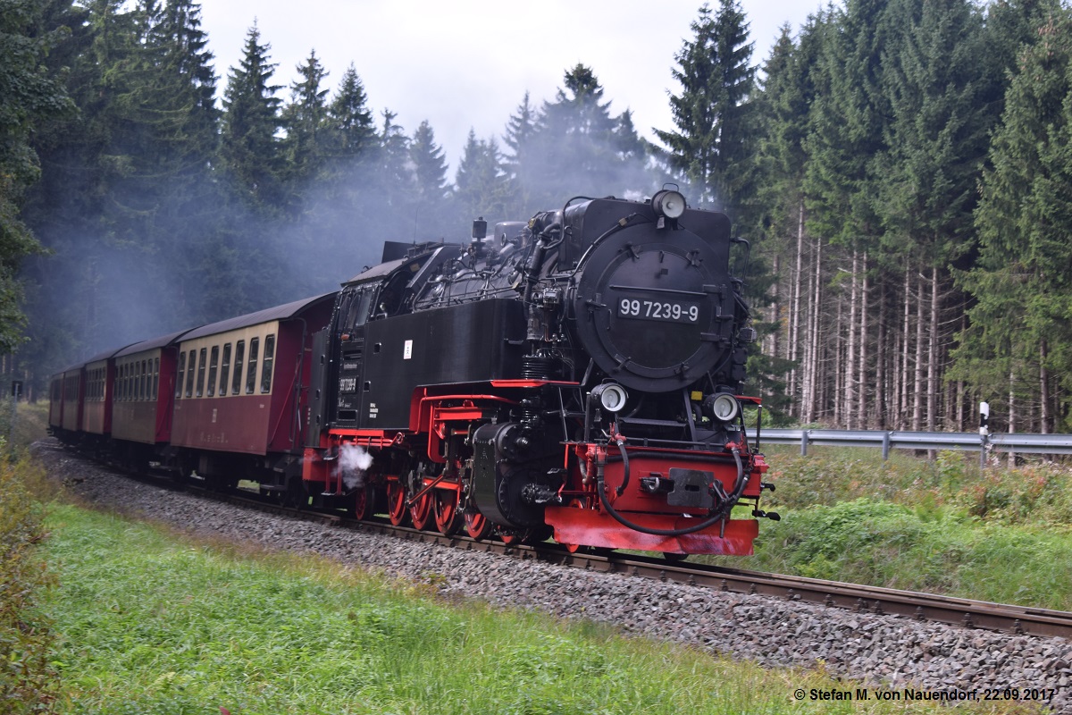 99 7239-9 aus Nordhausen Nord am 22.09.2017 kurz vor Drei-Annen-Hohne.