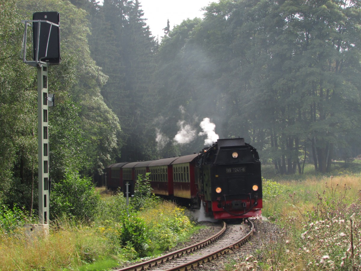 99 7245-6 stand am 13.08.2014 mit P 8904 am Einfahrsignal von Drei-Annen-Hohne