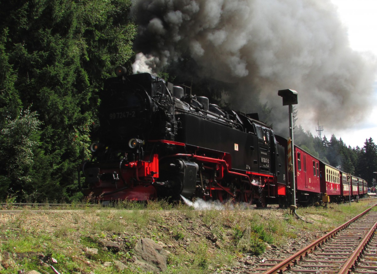 99 7247-2 donnert mit P 8941 aus dem Bahnhof Schierke am 13.08.2014 raus