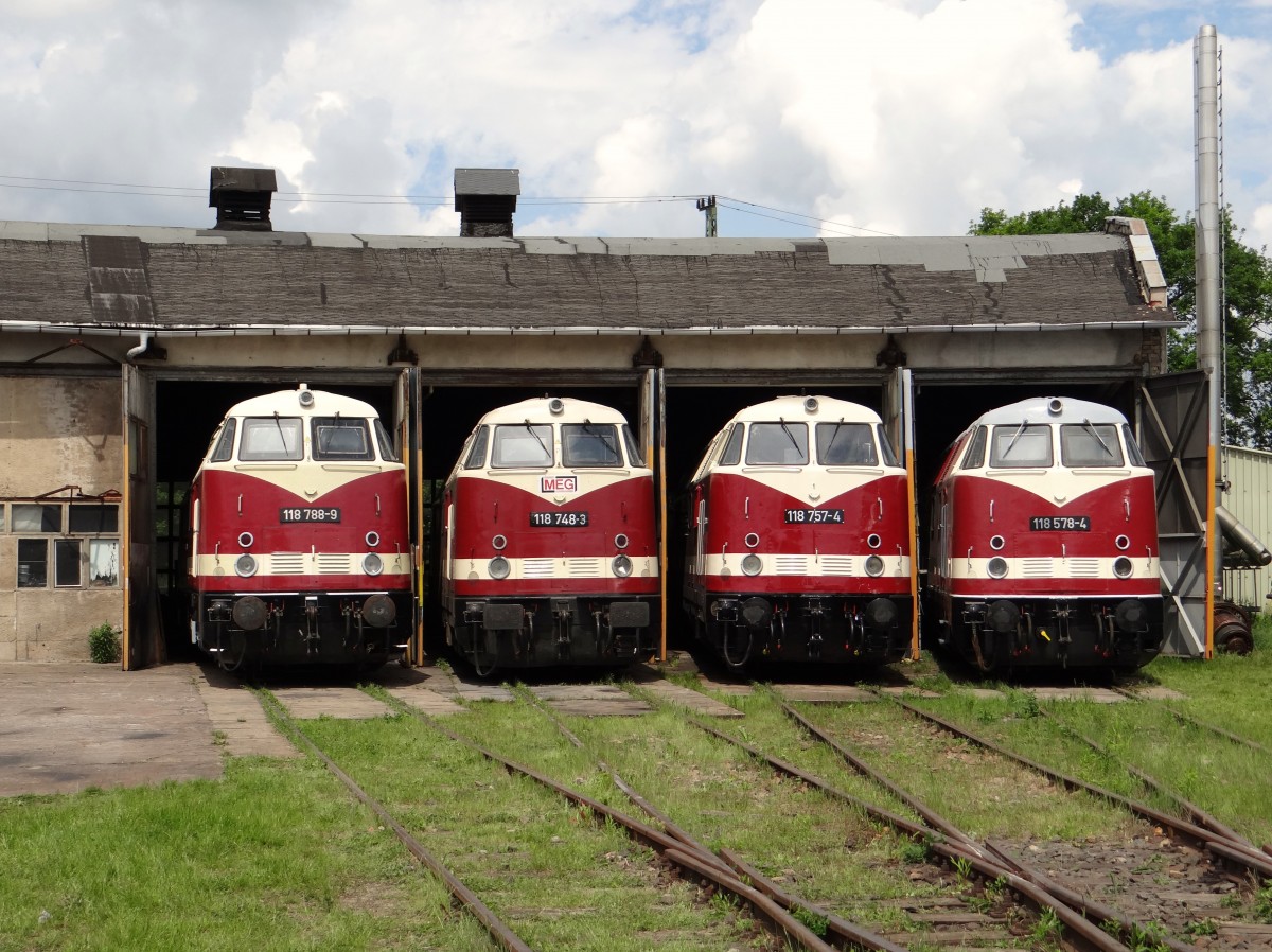 Am 24.05.14 war in Weimar beim TEV 118er Treffen. Zusehen waren 118 778, 118 748, 118 757 und 118 578. 