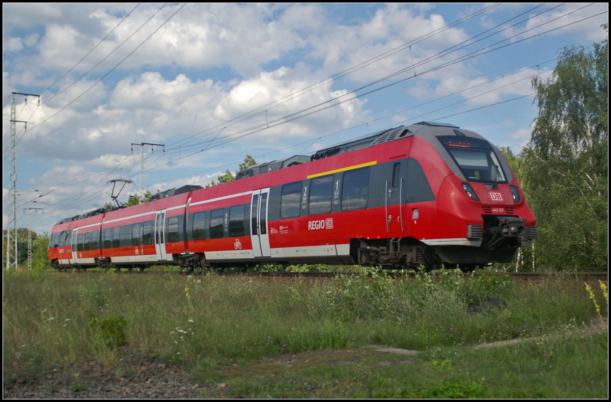 Auf Dienstfahrt zum Bahnhof (Berlin Schnefeld Flughafen befand sich DB Regio 442 137-6 als der Triebzug am 09.08.2017 durch die Berliner Wuhlheide fuhr