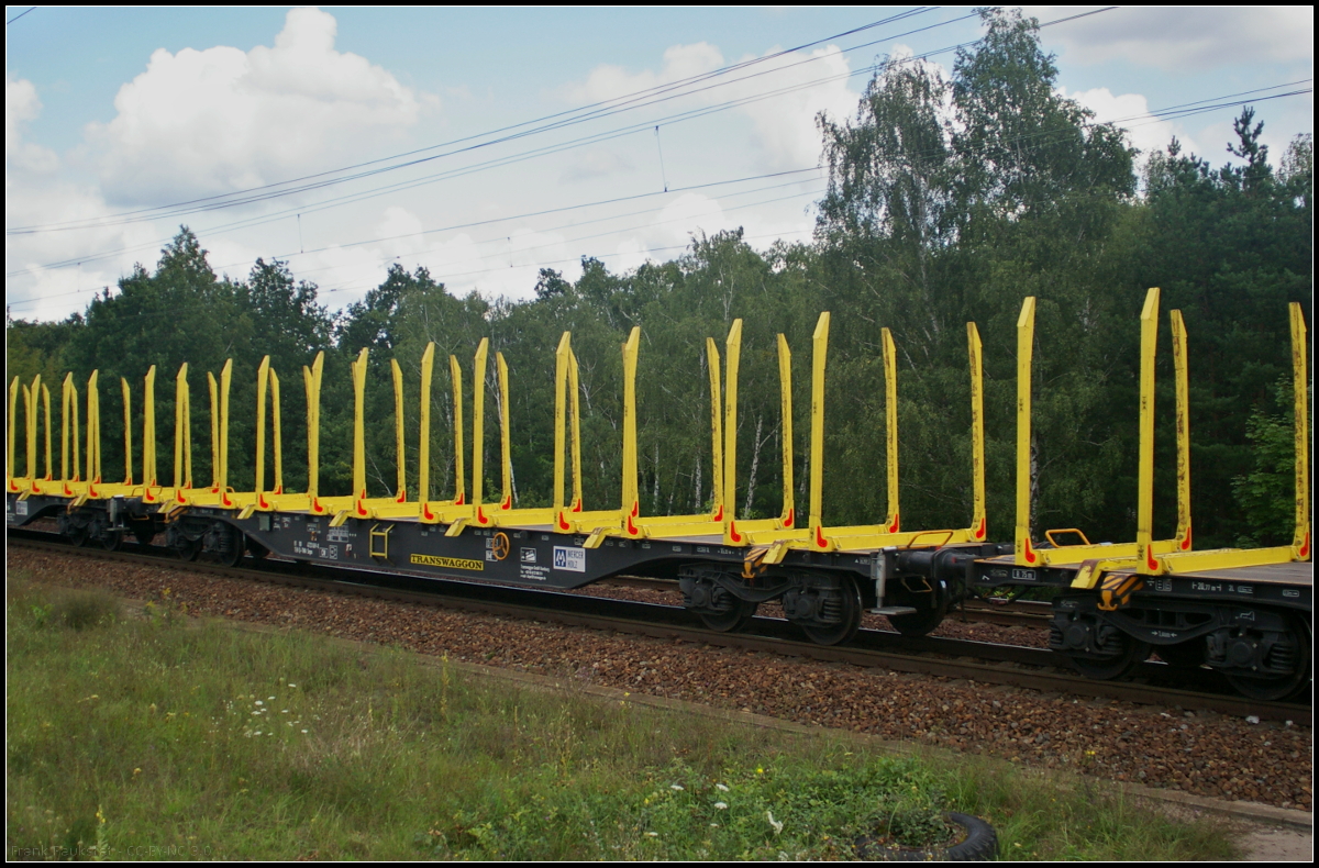 Bei dem vierachsigen Drehgestell-Flachwagen der Gattung Snps handelt es sich um einen Rungenwagen zum Transport von Holz und wurde von Tatravagonka gebaut. Der Wagen war am 23.08.2017 in eine Zug weiterer Wagen eingereiht der durch die Berliner Wuhlheide fuhr (81 TEN 80 D-TWA 4723 069-8 Snps)