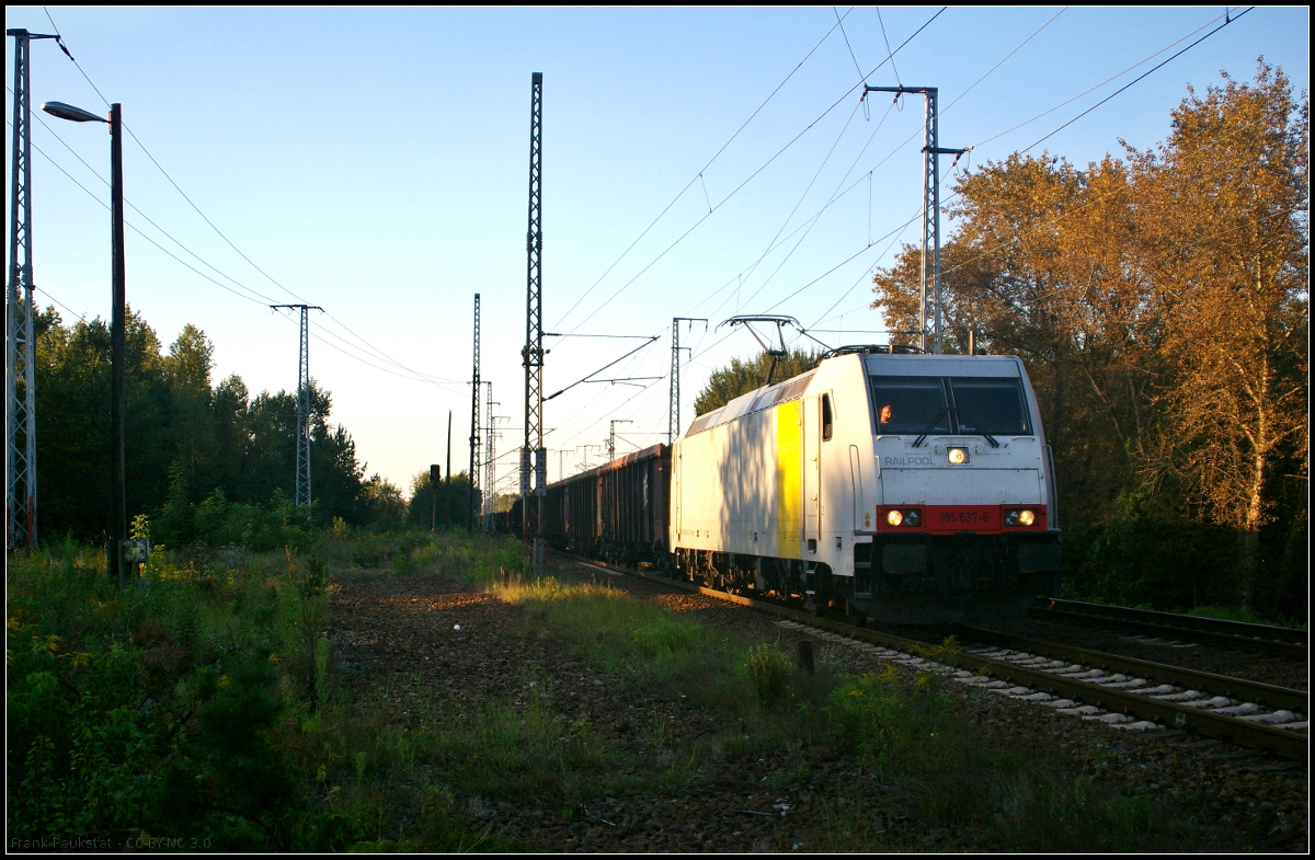 Bereits auf dem Weg zur S-Bahn überraschte mich am Bahnübergang Berlin Wuhlheide am späten Abend bei langen Schatten noch die bei DB Cargo Deutschland eingesetzte 185 637-6 mit einem Schrottzug