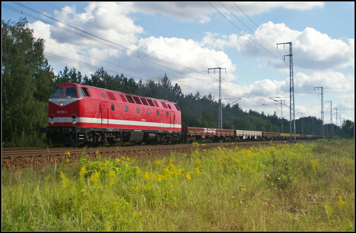 Cargo Logistik 229 181-3 fuhr mit Niederbordwagen am 23.08.2017 durch die Berliner Wuhlheide