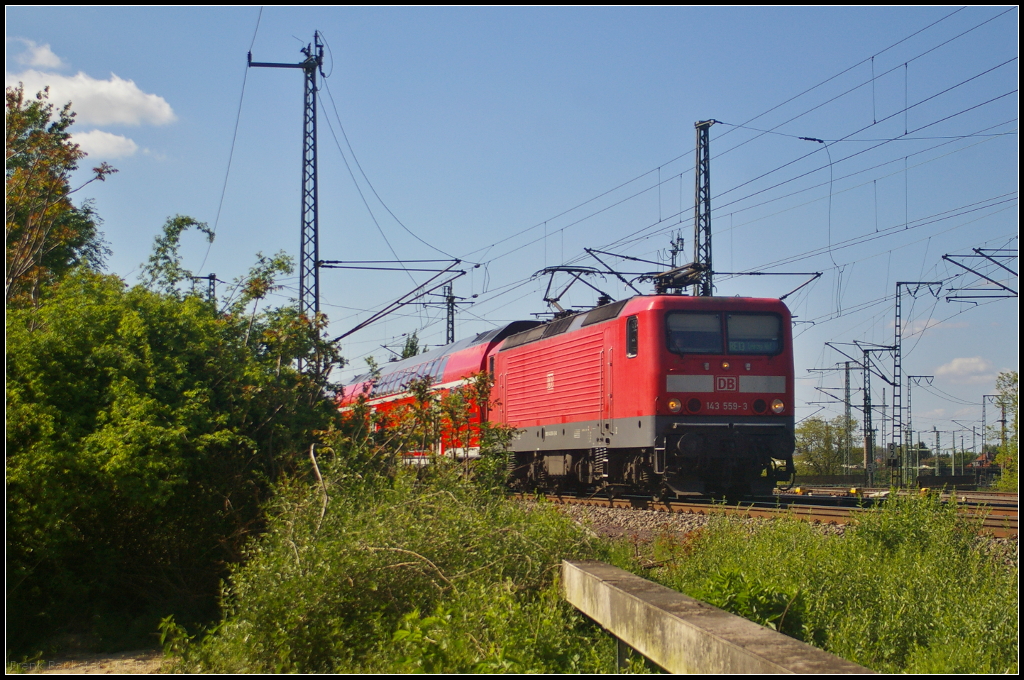 DB Regio 143 559-3 mit RE in Magdeburg Neustadt, 10.05.2015. Mit dem RE13 nach Leipzig Hbf kommt die noch recht neue Lok durch Neustadt. Gebaut wurde die Lok 1990 bei LEW und kam als 243 559-2 zur DR. Interessant ist, das sie 1991 an die Deutsche Bundesbahn vermietet wurde. 2008 erfolgte der Umbau auf Stromabnehmer Bauart DSA 200. Beheimatet ist sie im Bh Magdeburg