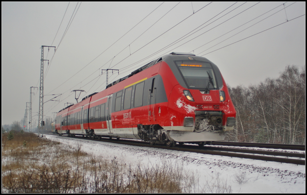 DB Regio 442 137 als Verstrker fr die RB14 Nauen am 28.01.2014 in der Berliner Wuhlheide unterwegs nach Schnefeld Flughafen