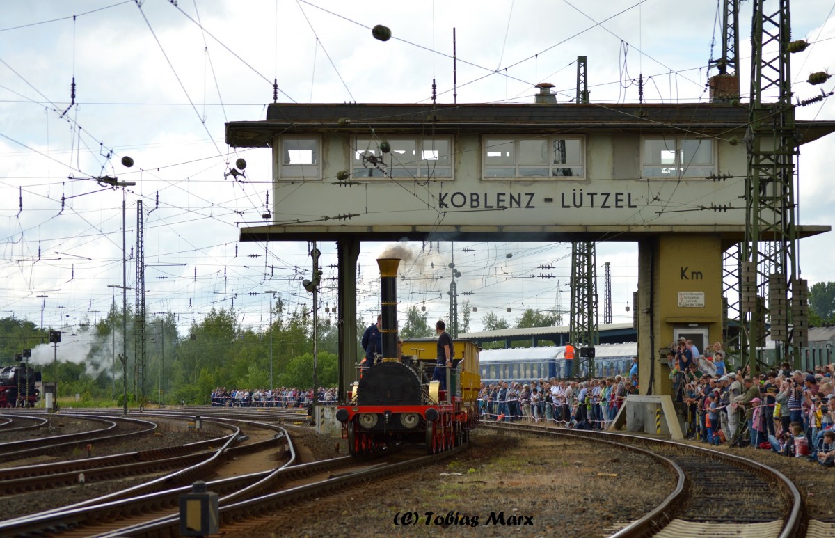 Den Anfang der Parade machte der Adler. Aufgenommen beim Sommerfest am 13.06.2015
