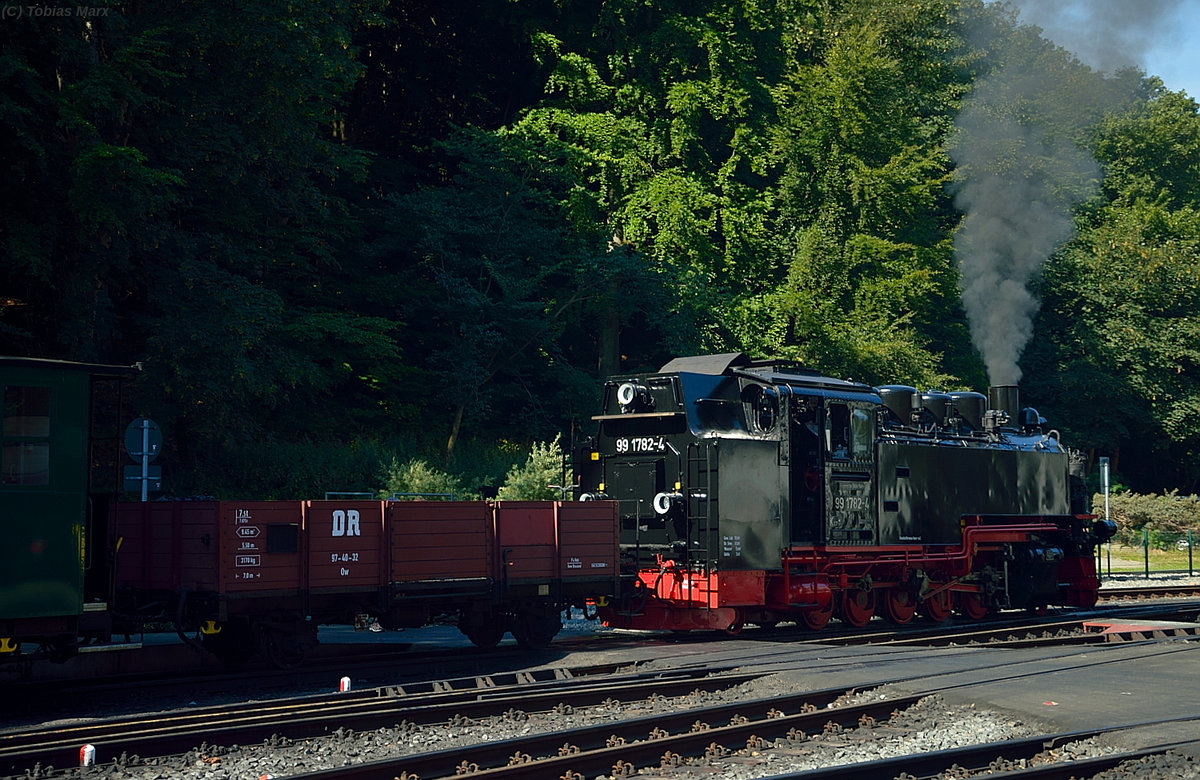 Der Güterverkehr ist zwar seit den 1970ern bei dem Rasenden Roland eingestellt, aber in der Hauptsaison muss der Göhrener Kohlewagen regelmäßig in einen Planzug eingestellt werden, damit er nach Putbus ins BW zur Auffüllung des Brennstoffs kommt. Am 22.07.2016 lief er hinter 99 1782-4 im P 102 mit.