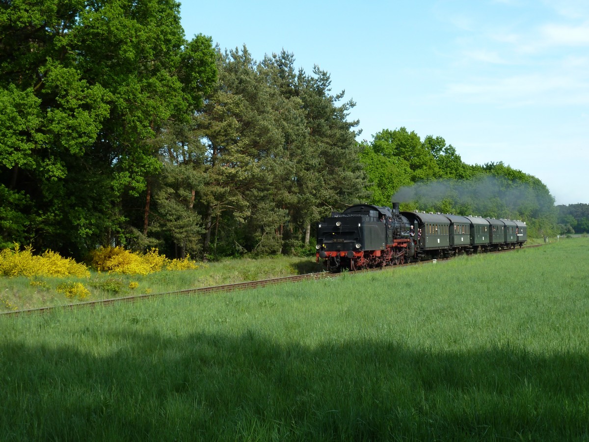 Die 38 2267 vom Bochum Dahlhausen Eisenbahnmuseum zwischen Steinhagen und K�nsebeck in richtung Halle (Westf.). Am 14.05.2015.