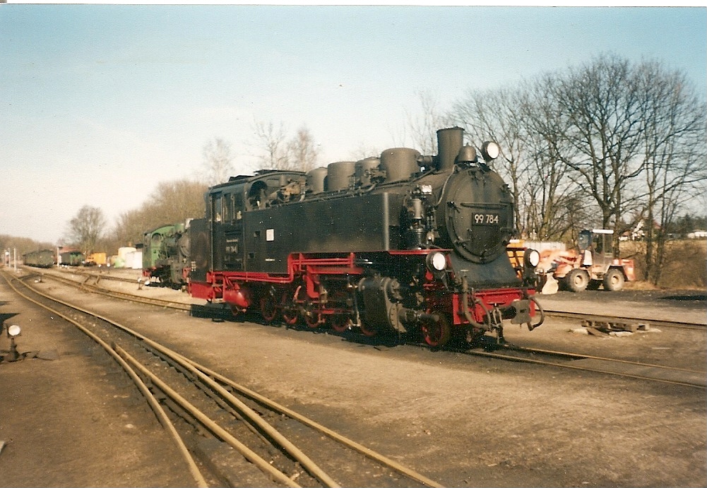 Die Sachsenbullen zählen zu den Arbeitstieren beim Roland.Hier ist es 99 1784 die mal einen Ruhetag in Putbus hatte.