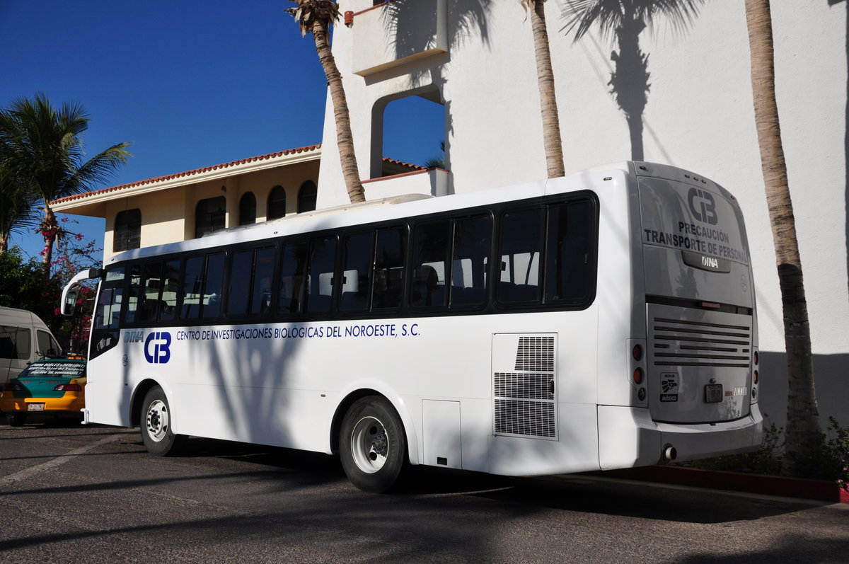 Dina Bus fr Touristen in La Paz/Mexico vor dem Hotel.