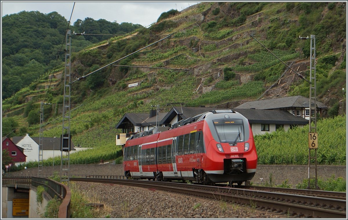 Ein  Mini-Hamster , der 442 503, als RB1 auf dem Weg nach Koblenz in der Nähe von Winningen. 
20. Juni 2014