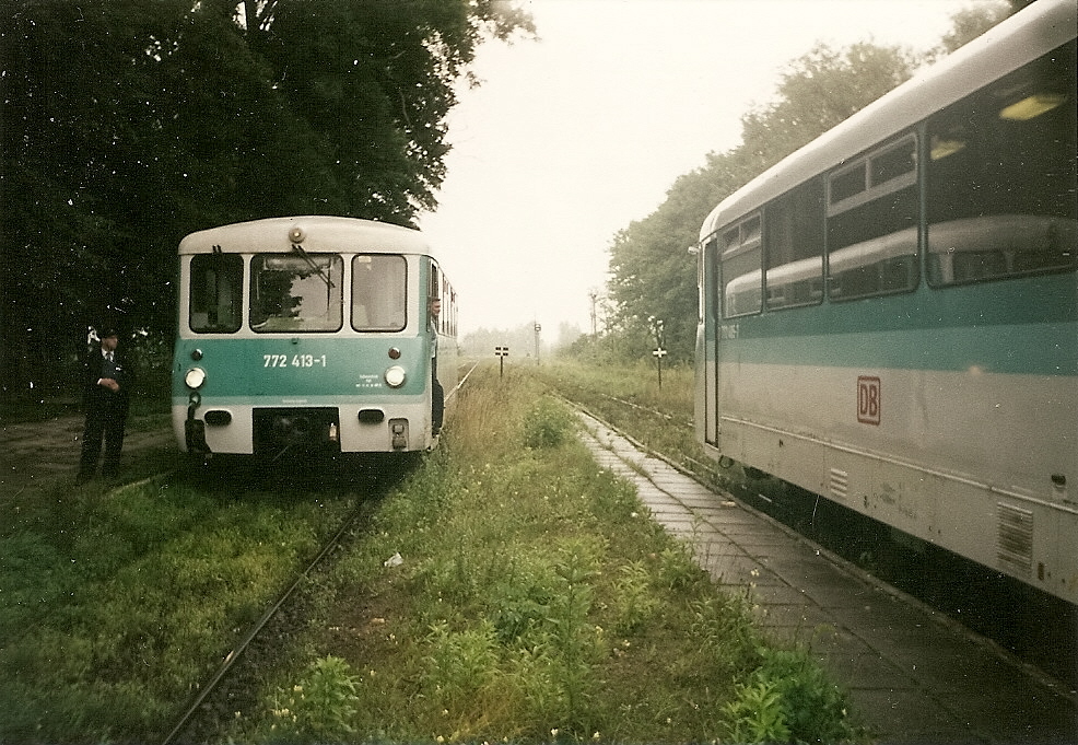 Ferkeltaxenkreuzung im polnischen Krzewina Zgorzelecka(Strecke G�rlitz-Zittau �ber Polen)