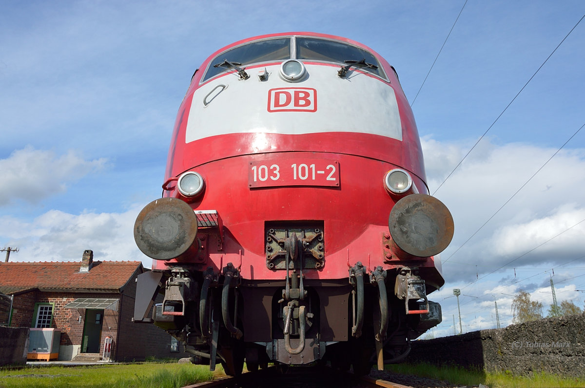 Für so ein Bild muss man auch mal sich hinlegen. So legte ich mich am 16.04.2016 vor die 103 101 im Eisenbahnmuseum Darmstadt-Kranichstein