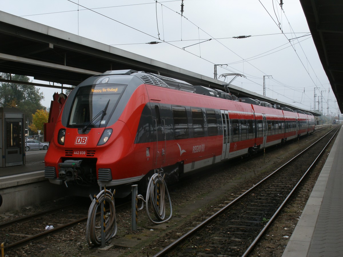 Geliebt aber auch gehasst die Hamsterbacken.Am 12.Oktober 2013 stand im Stralsunder Hbf der Rostocker 442 338/838.