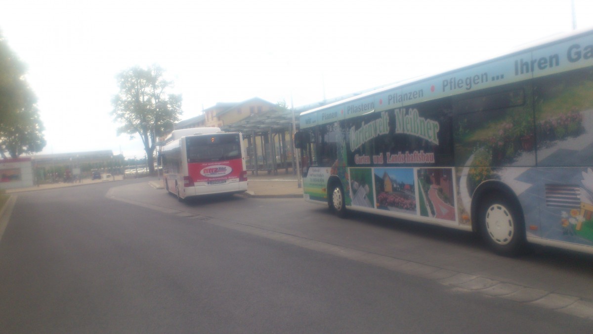 ...hier mal beides MAN und Mercedes der Greifswalder Stadtwerke am Greifswalder Busbahnhof 