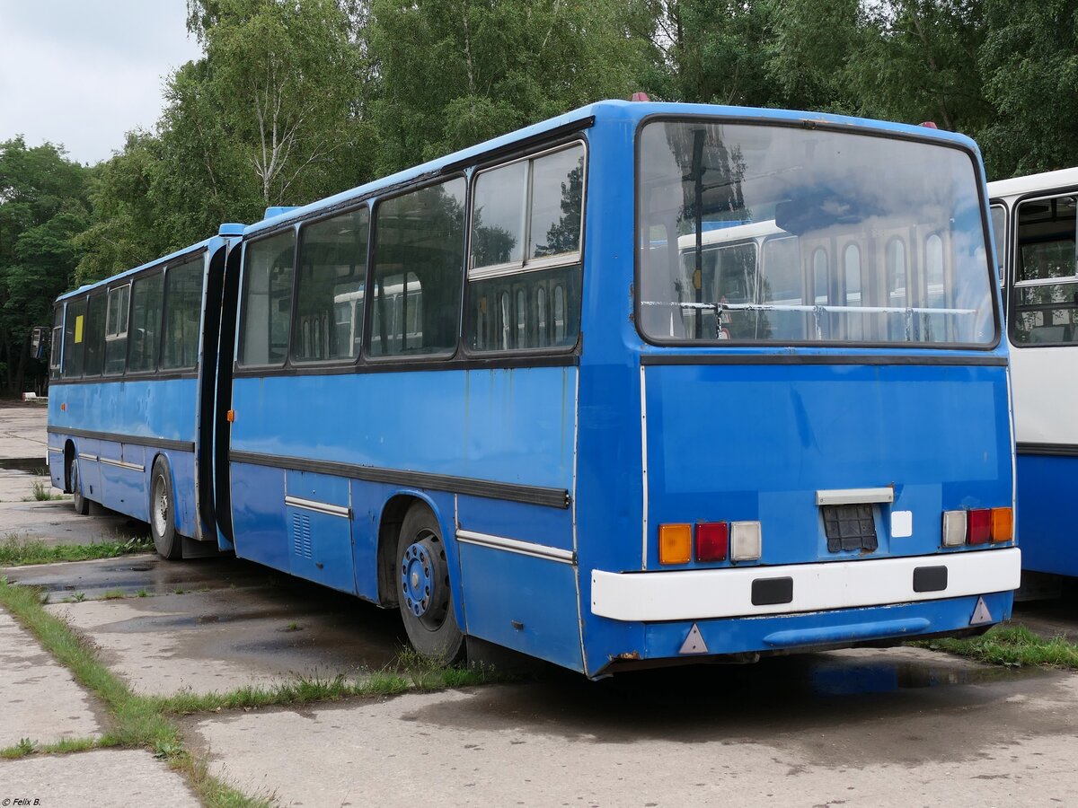 Ikarus 280 vom Technikmuseum Pütnitz (exex Verkehrsgesellschaft Görlitz-Niesky mbH, ex Kaposvári Közlekedési Zrt. (CCT-434)) in Pütnitz.