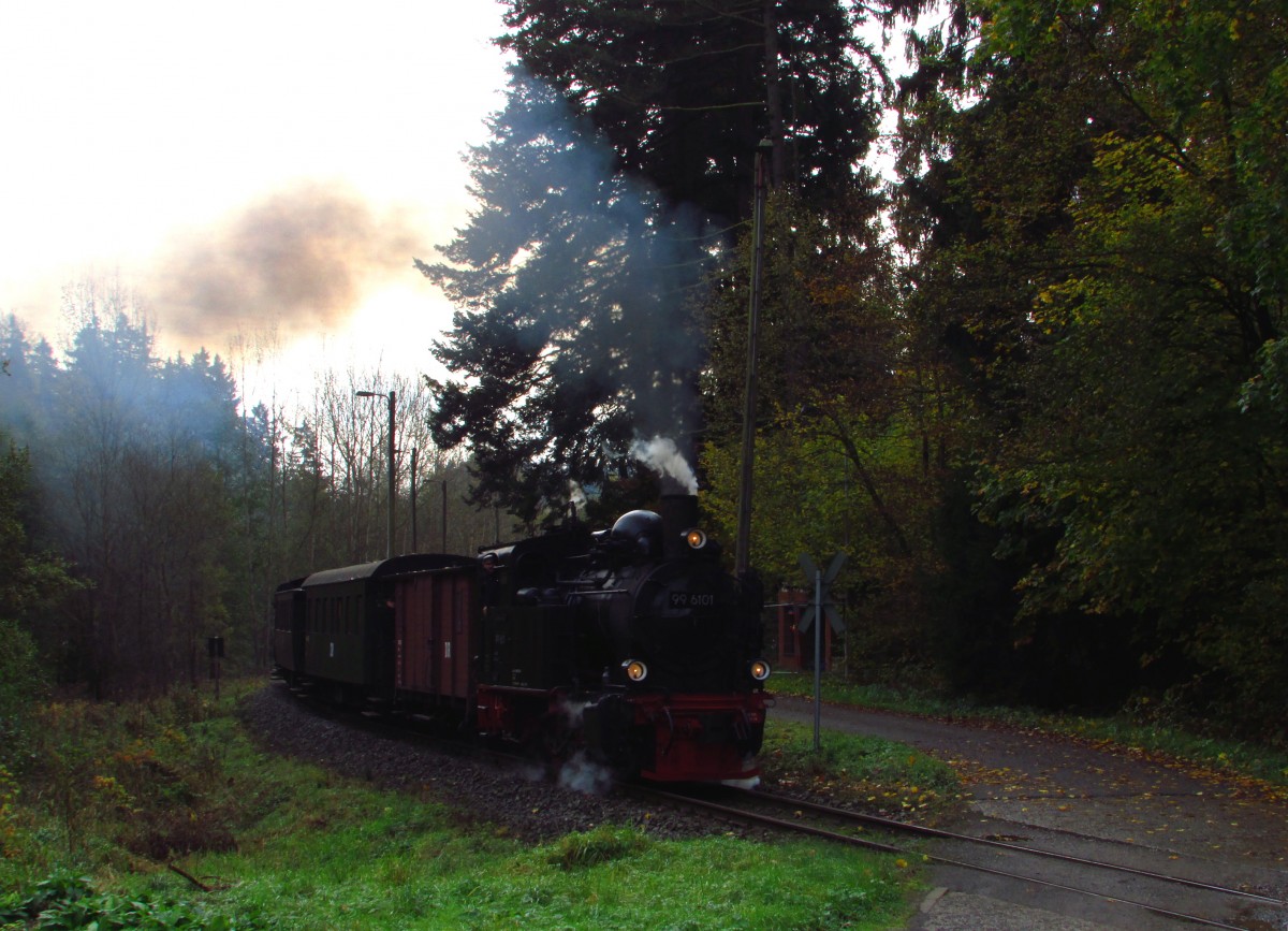 Im Rahmen eines Fotowochenende fuhr am 18.10.14 die 99 6101 mit einem Fotozug von Quedlinburg über Gernrode-Alexisbad-Silberhütte-Stiege nach Hasselfelde und zurück.Hier donnert sie die Steigung am Albrechtshaus hoch.