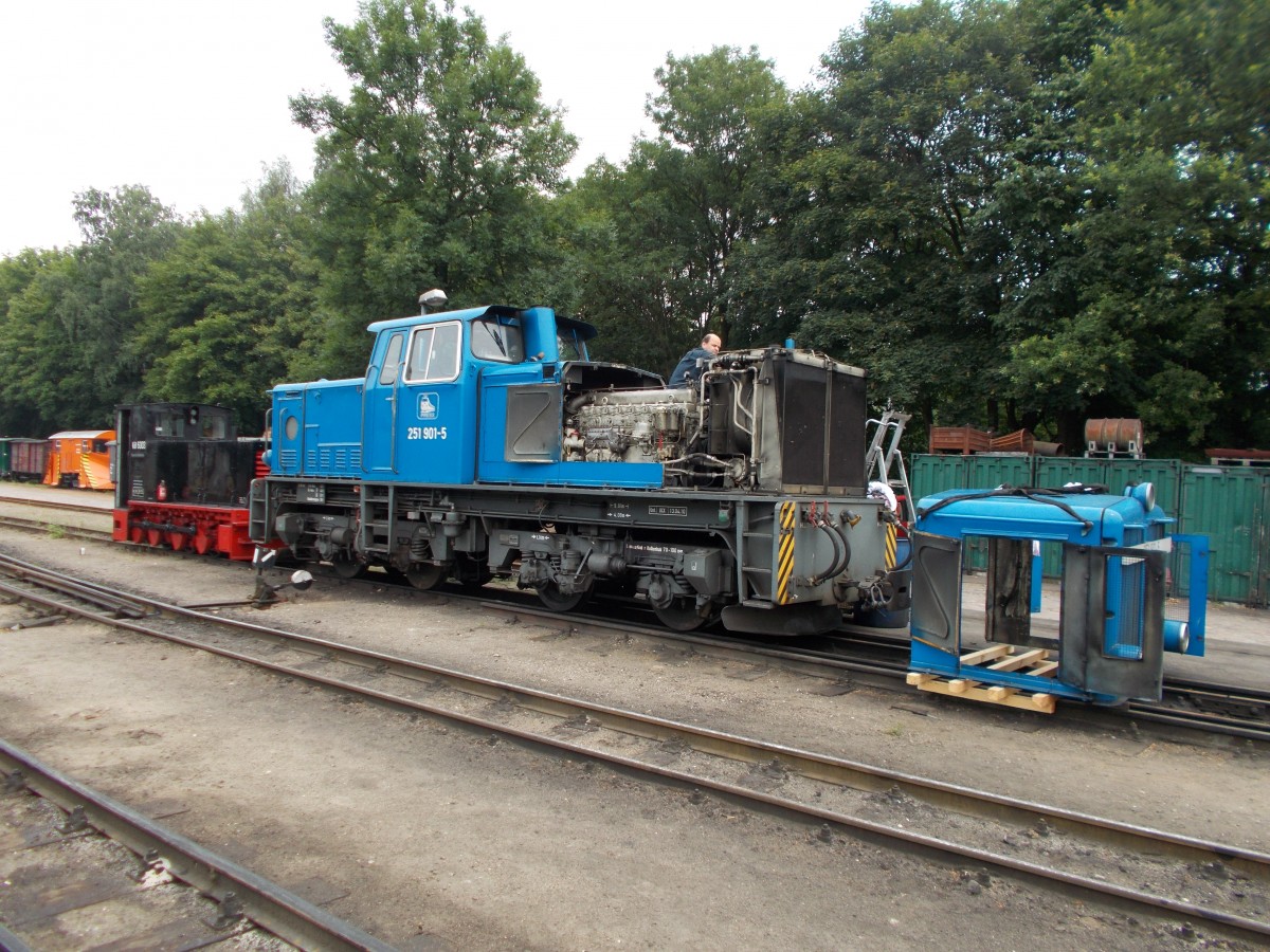 K�f 6003 und 251 901,am 28.Juli 2014,in Putbus.