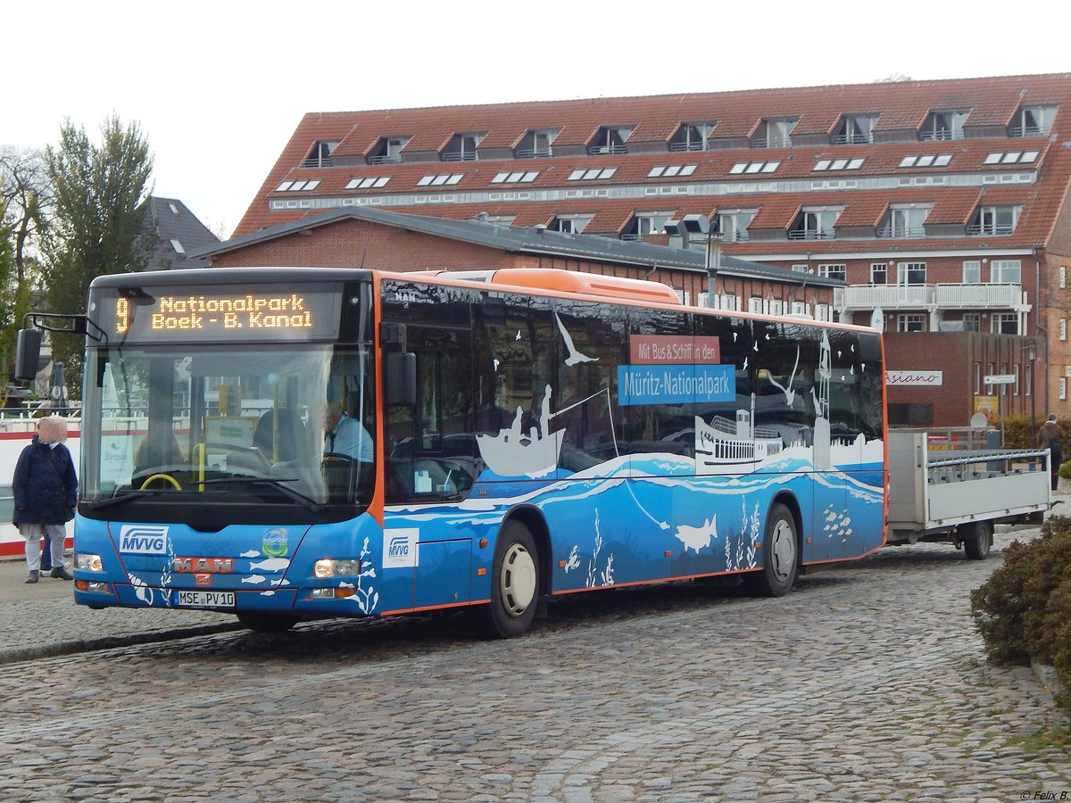 MAN Lion's City mit Anhänger der MVVG in Waren.