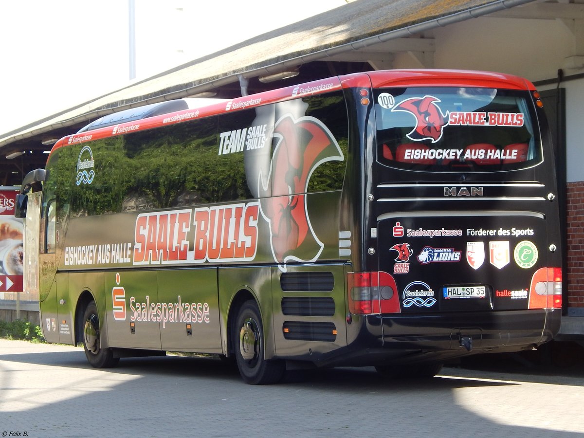 MAN Lion's Coach der Saalesparkasse aus Deutschland im Stadthafen Sassnitz.