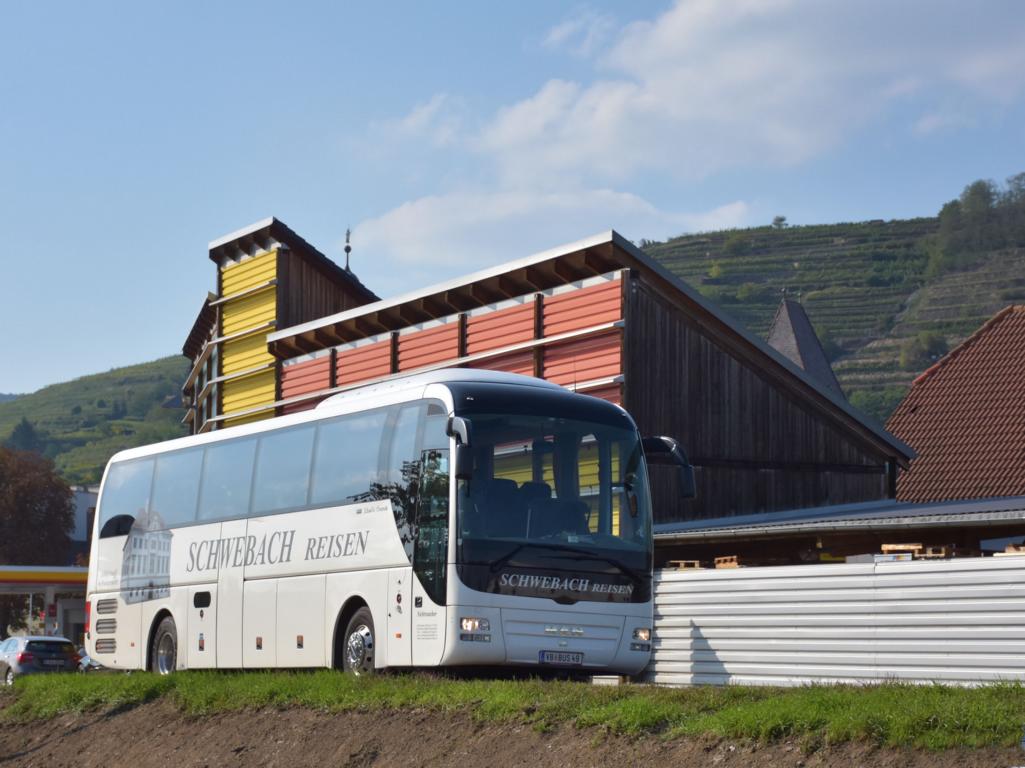 MAN Lion`s Coach von Schwebach Reisen aus sterreich 09/2017 in Krems.