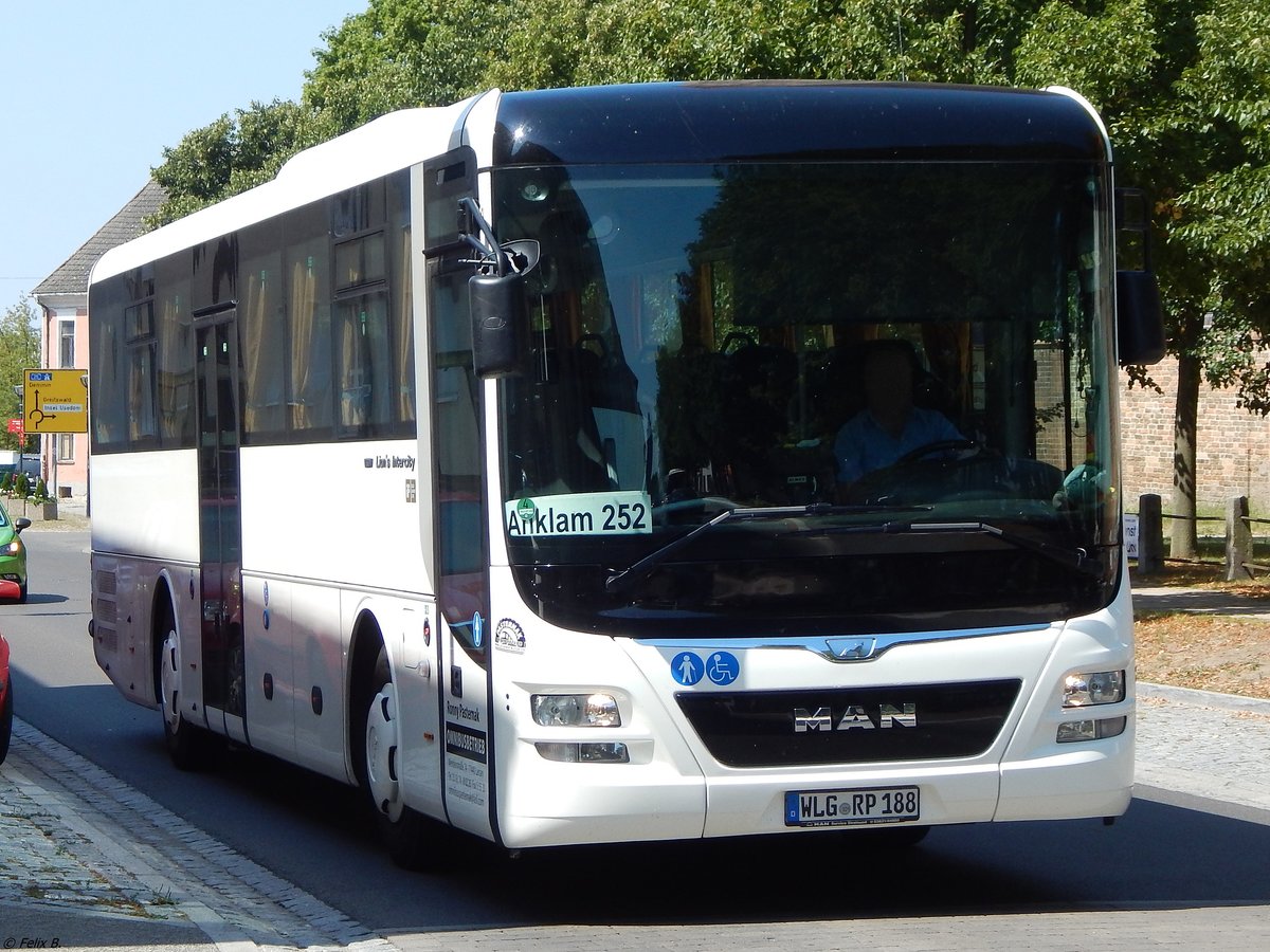 MAN Lion's Intercity von Omnibus Pasternak aus Deutschland in Anklam.