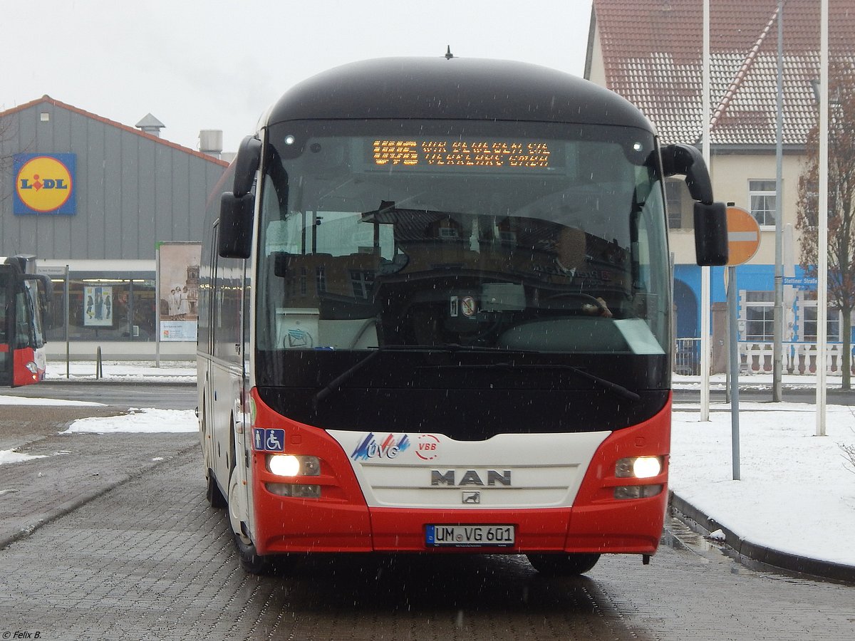 MAN Lion's Regio der Uckermärkische Verkehrs GmbH in Prenzlau.