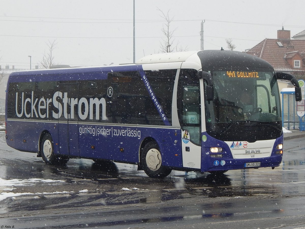 MAN Lion's Regio der Uckermärkische Verkehrs GmbH in Prenzlau.